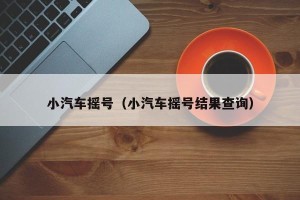 小汽车摇号（小汽车摇号结果查询）